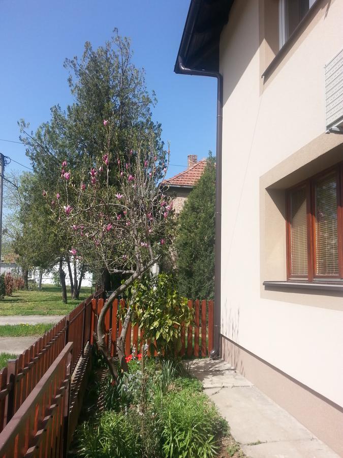 Sweet Dreams Apartment Arandelovac Buitenkant foto