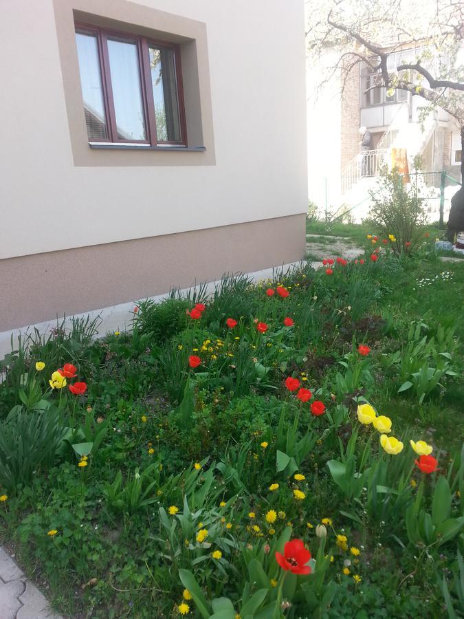 Sweet Dreams Apartment Arandelovac Buitenkant foto